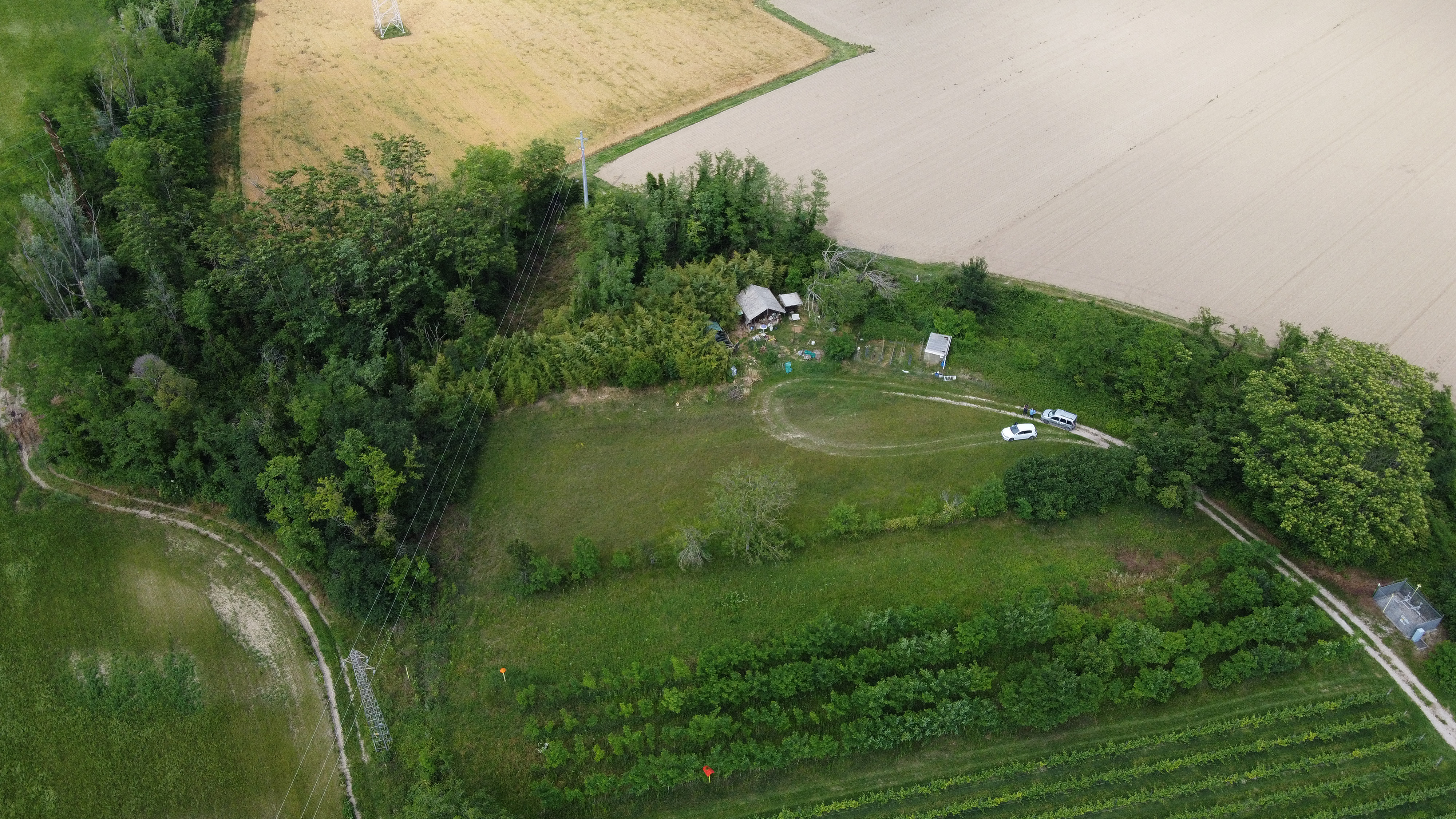 Immagine per San Pier d'Isonzo, al via analisi del terreno per gli orti e rifacimento strade bianche